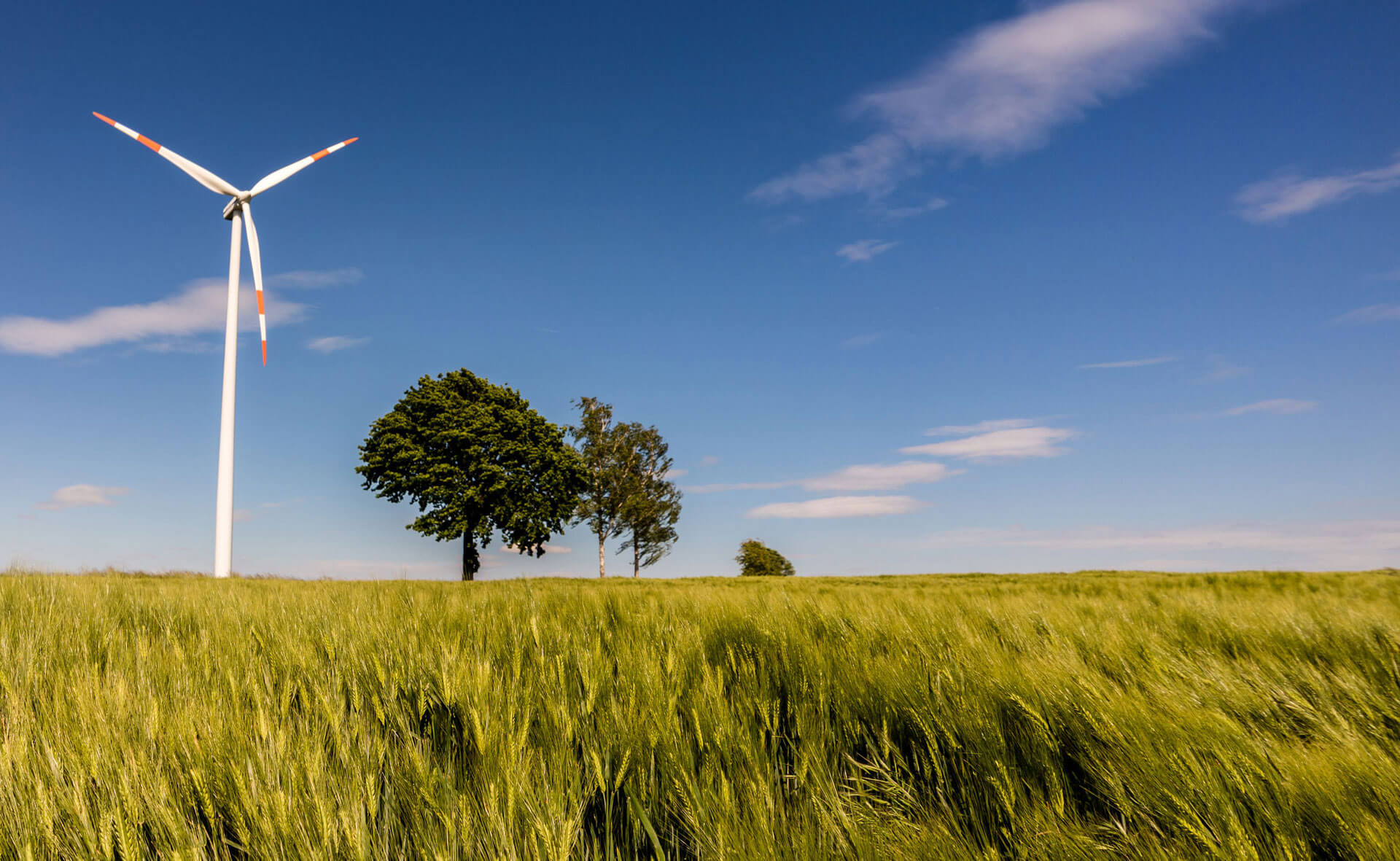 Lucom Kunden Versorgungswirtschaft